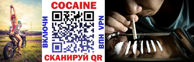 Кокаин Fish Scale Гвардейск