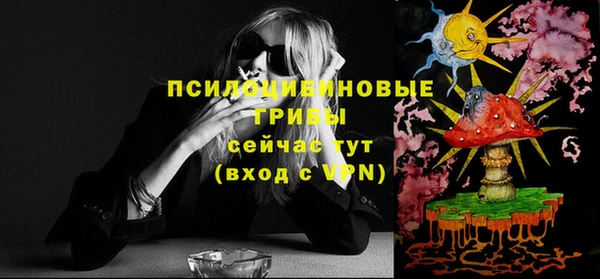 spice Алексеевка