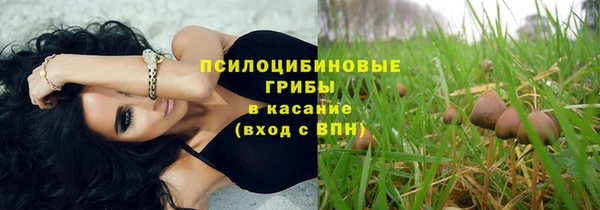 героин Алзамай